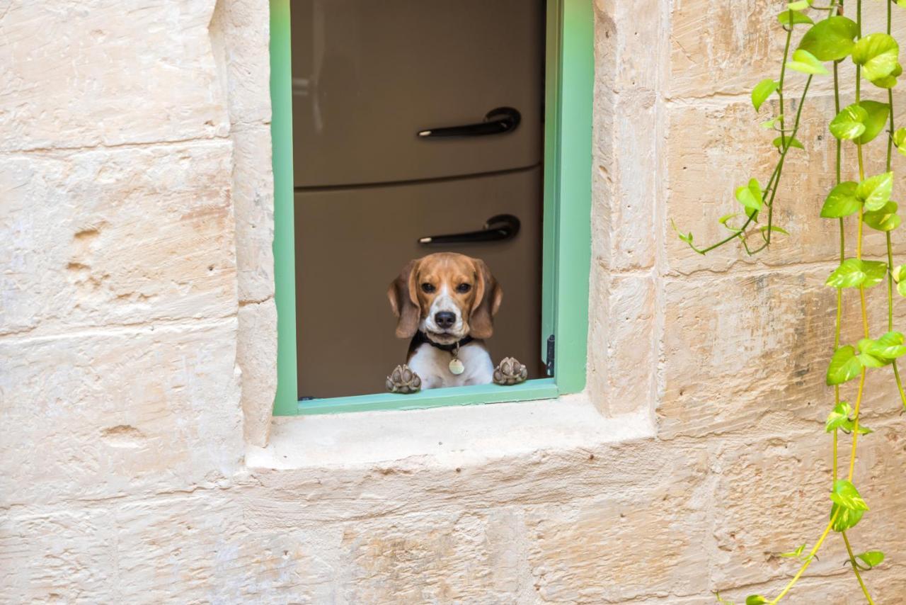 バレッタCasa San Carloアパートメント エクステリア 写真